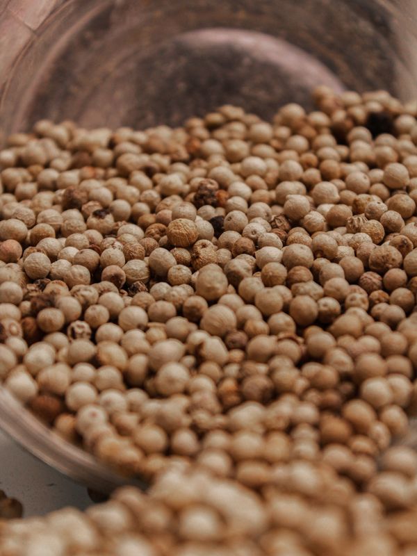 White Pepper